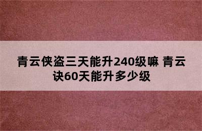 青云侠盗三天能升240级嘛 青云诀60天能升多少级